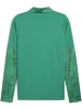Puma Pullover "TeamCUP Training 1/4 Zip Top" in Grün
