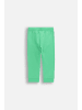 MOKIDA Jogginghose in grün