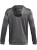Under Armour Fleecejacke/Fleecepullover "Ua Armour Fleece Fz Hoodie" in Grau