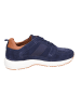 Camel Schnürschuhe in navyblue
