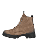 Steve Madden Stiefelette Taupe