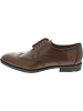LLOYD Lucien Business Schuh Braun