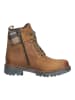 Josef Seibel Stiefelette in Hellbraun