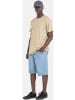 Reell Short "Solid Short" in Blau
