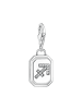 Thomas Sabo Charm-Anhänger in silber