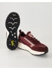 SALAMANDER Slip On Sneaker in Bordeaux