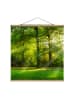 WALLART Stoffbild mit Posterleisten - Spaziergang im Wald in Grün