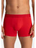 Bruno Banani Retro Short / Pant Flowing in Rot / schwarz