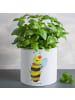 Mr. & Mrs. Panda XL Blumentopf Biene Happy ohne Spruch in Weiß