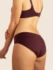 Royal Lounge Hipster Shorty Fit in Bordeaux