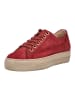Paul Green Sneaker in Wine