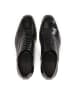 Kazar Schnürschuhe in Schwarz