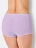 WITT WEIDEN Panty in 2x hellblau + 2x vanille + 2x flieder