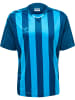 Hummel T-Shirt Hmlcore Herren in BLUE CORAL/BLUE DANUBE