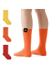 von Jungfeld Classic Socken-Set Signature Innenbund in Sunrise