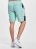 Sergio Tacchini Sergio Tacchini Cargo Shorts in green