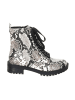 Guess Shoes Ankle Boots in Gray