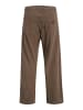 Jack & Jones Hose in Crocodile