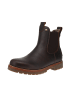 PANAMA JACK Chelsea-Boots Beny Igloo in Braun