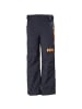 Helly Hansen LEGENDARY PANT in Marine