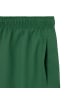 Lacoste Badeshorts in Grün