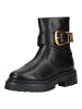 Steve Madden Stiefelette in Schwarz/Gold