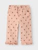 name it Hose in Cameo Rose