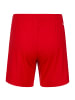 adidas Performance Trainingsshorts Entrada 22 in rot / weiß