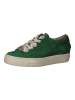 Paul Green Sneaker in Grün