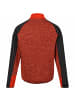 Regatta Fleecejacke Coladane V in Orange