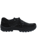 wolky Schnürschuh in schwarz