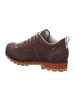 DOLOMITE Outdoorschuh Low GTX EVO in Brown