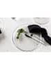 ebuy24 Teller Shine 2er Set Klar 2er Set