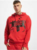 DEF Hoodie in Rot