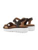 ara Sandalen in Braun
