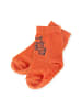 Sigikid Socken-Set 3er Wild Adventure in rostrot/blau