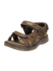Dockers by Gerli Trekkingsandalen in Braun