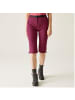 Regatta 3/4 Capri Hose in Beere