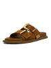 Steve Madden Pantoletten in Camel