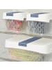 Rotho Dynamic Box 1,6 l FRESH
