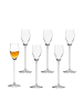 Stölzle 36er Set Wein- und Sektgläser Quatrophil transparent in transparent