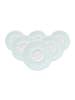Seltmann Weiden 6er Set Untertassen Life Fashion in ø 16,5 cm in Green Chic