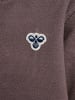 Hummel Kinder Trainingsanzug "Mini Fleece Zip Suit Bee" in Braun