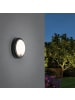 paulmann LED Außen-Wandleuchte Warmweiß mit Bewegungsmelder in anthrazit -H:66mm