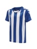 Hummel Kinder Sportshirt in Blau