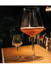 Rastal Craft Beer Riesen-Bierglas Teku XXL in 3,2 Liter in transparent
