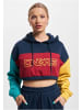 DNGRS Dangerous Sweat & Fleece - Hoody in multicolored