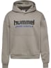 Hummel Sweatshirt Hmlboxy Erwachsene in ROCK RIDGE