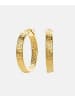 Vanlere Creolen aus 375 Gelbgold