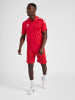 Hummel Polo Hmlcore Multisport Erwachsene in TRUE RED